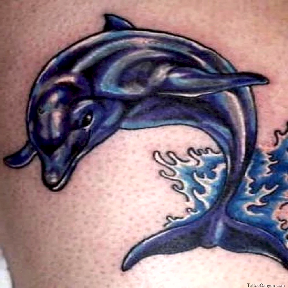 Women Dolphin Tattoos