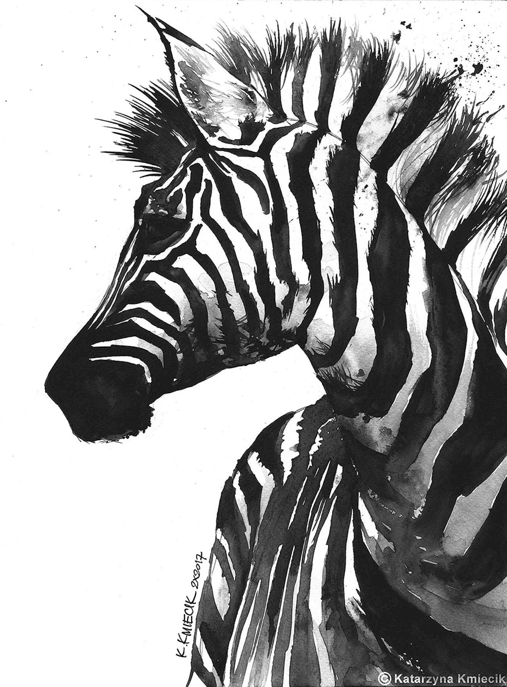 Zebra Art