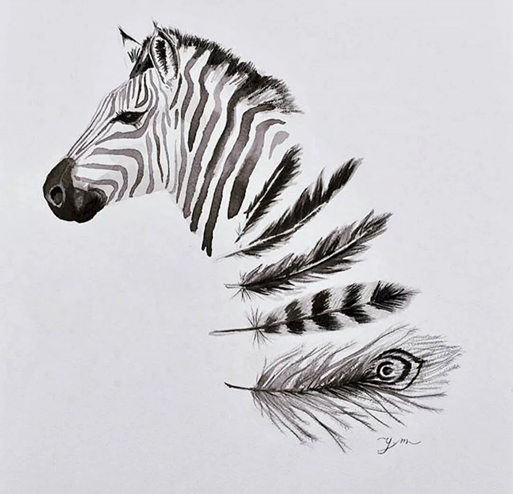 Zebra Art draw