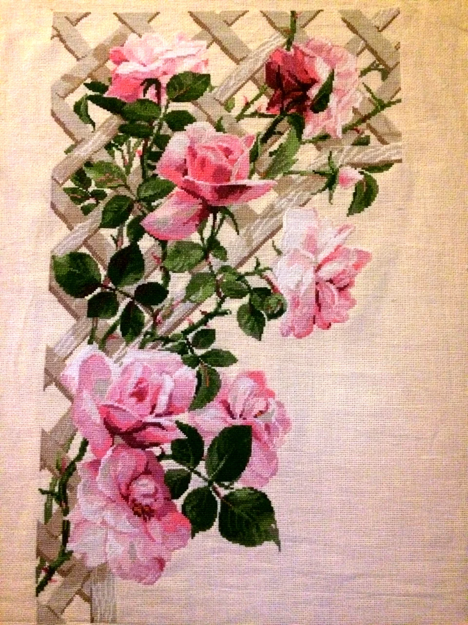 Риолис розы на решетке