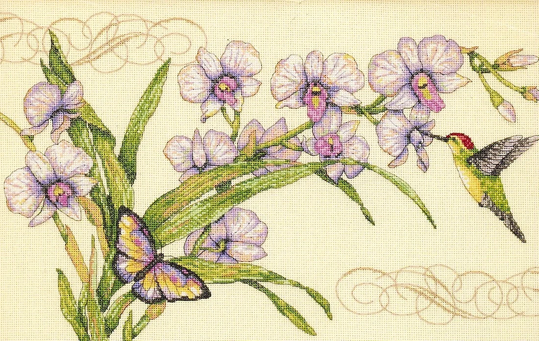 Орхидеи и Колибри Dimensions
