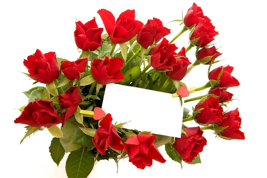 Поздравительные открытки цветы