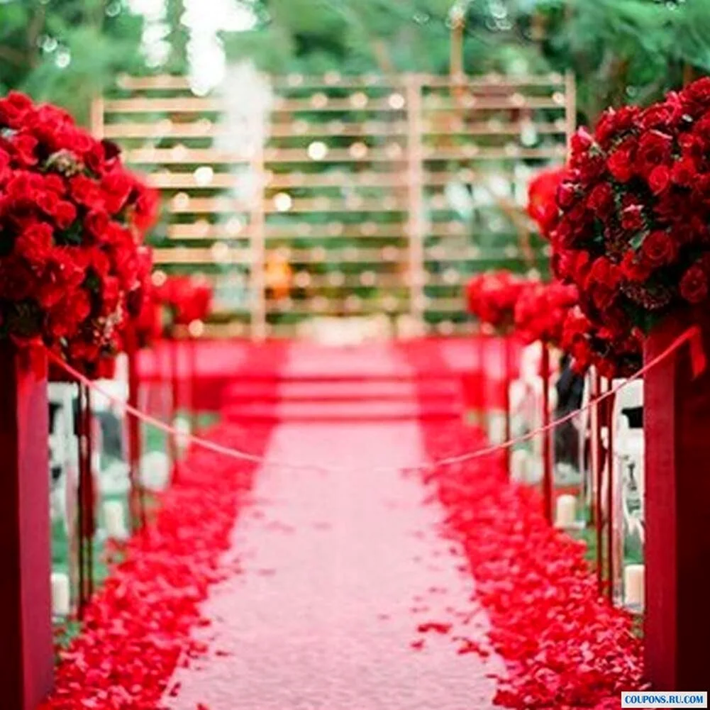 Свадьба в Красном цвете